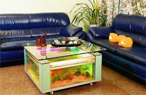 vastu fish tank position in office