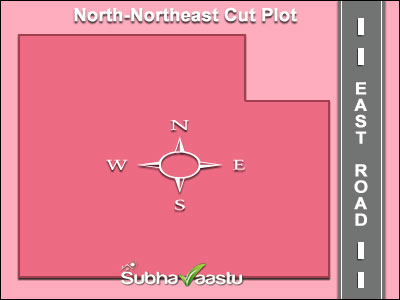 Northeast Cut Plot