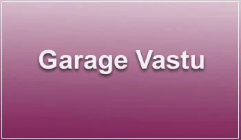 Pigeon fur is bad as per vastu