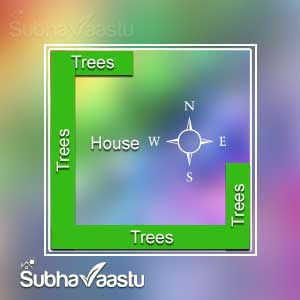 Vastu trees around house in Hindi