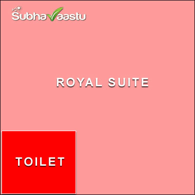Southwest Toilets in Star hotels