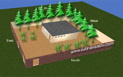 Trees effects on house as per Vastu Shastra