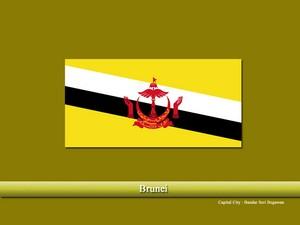 Vastu pandit in Brunei