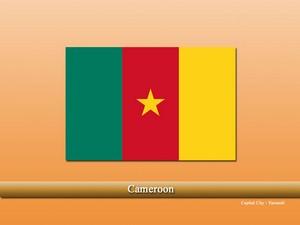 Vastu pandit in Cameroon