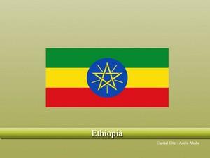 Vastu specialist in Ethiopia