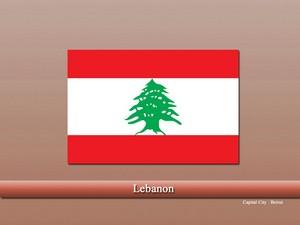 vastu pandit in Lebanon