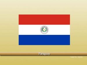 Vastu pandit in Paraguay