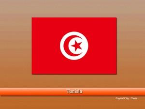 Vastu Pandit Tunisia