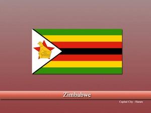 Vastu pandit in Zimbabwe