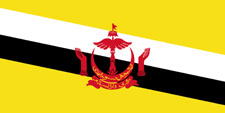 Vastu consultant in Brunei