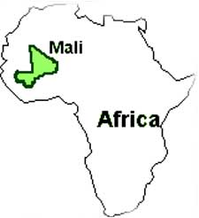 Vastu expert in Mali
