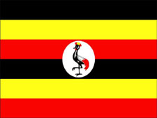 Vastu consultant in Uganda