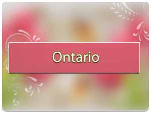 Vastu specialist in Ontario