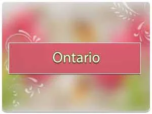 Vastu specialist in Ontario